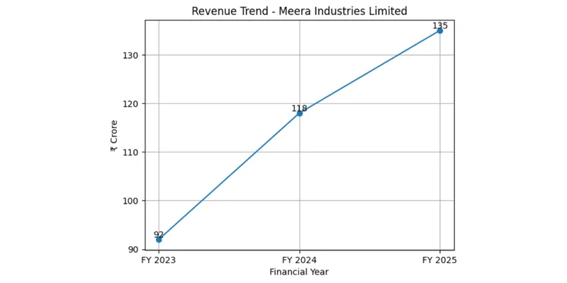 Revenue trend chart of MEERA industries Ltd.